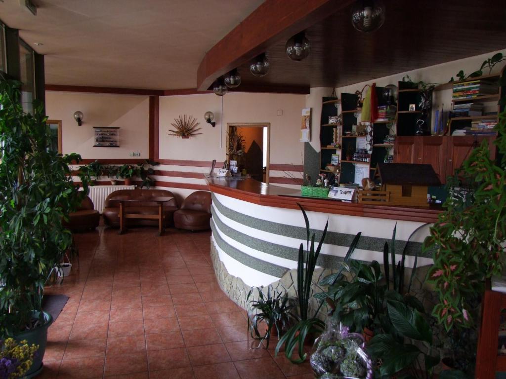 Hotel Silva Vatra Dornei Exterior photo